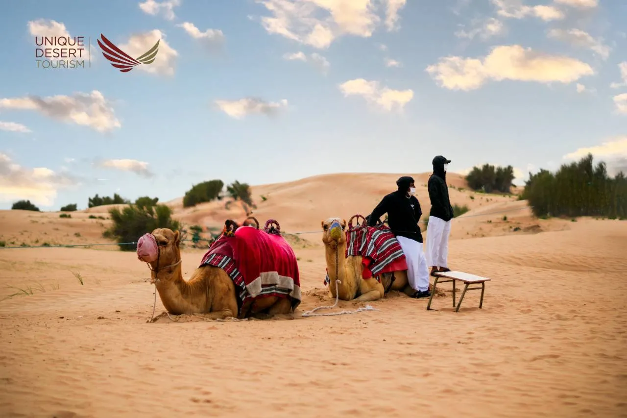 Morning Desert Safari Dubai Premium Adventure