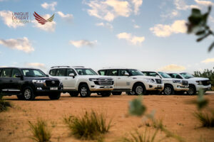 Dubai Desert Safari with dune bashing, camel rides, and sunset views