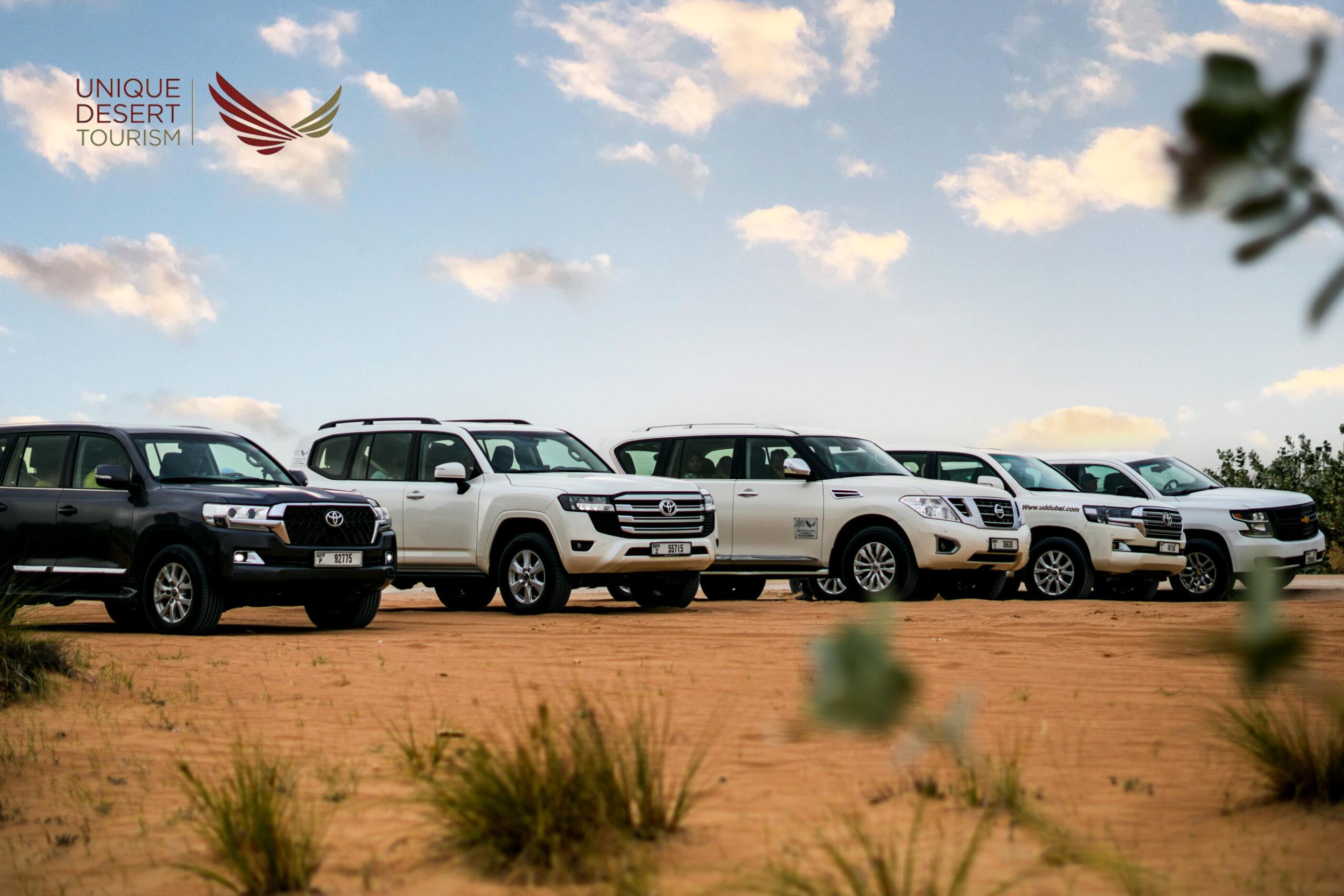 Dubai Desert Safari with dune bashing, camel rides, and sunset views